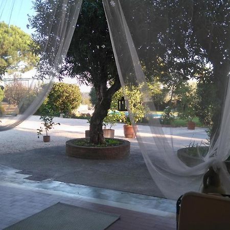 Bed and Breakfast Il Gelso Di Barcuzzi Лонато Экстерьер фото
