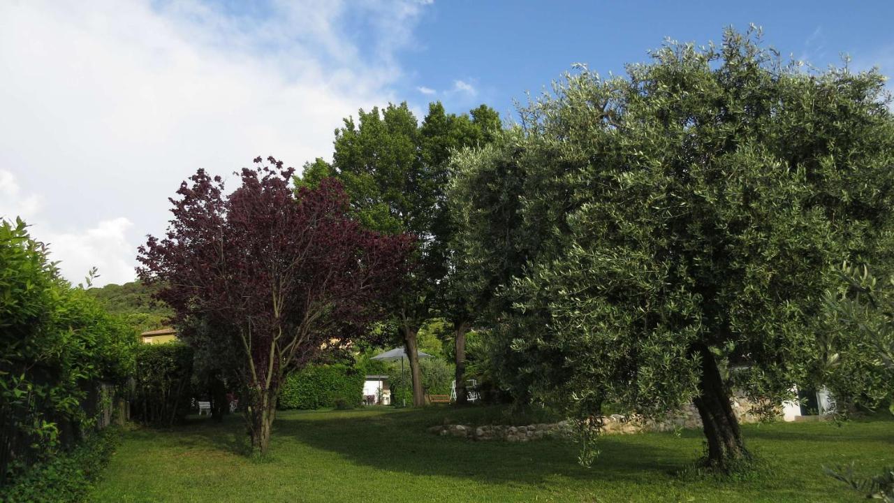 Bed and Breakfast Il Gelso Di Barcuzzi Лонато Экстерьер фото