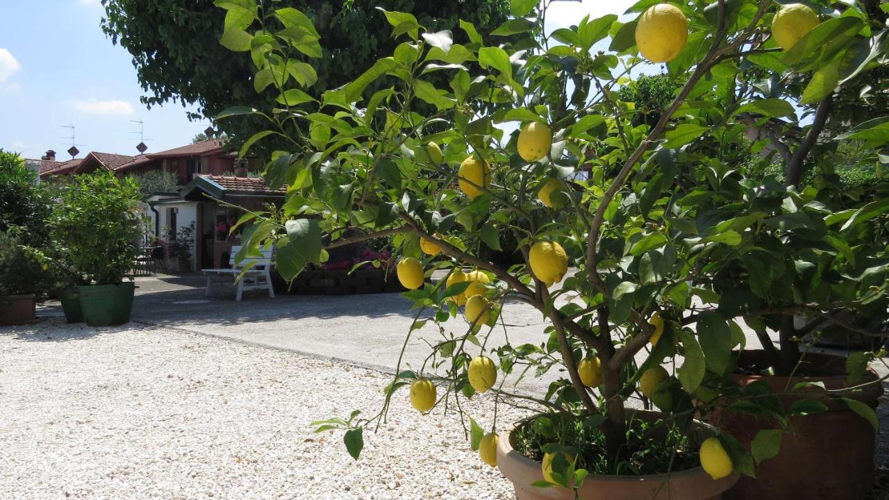 Bed and Breakfast Il Gelso Di Barcuzzi Лонато Экстерьер фото