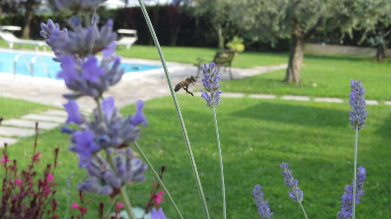 Bed and Breakfast Il Gelso Di Barcuzzi Лонато Экстерьер фото