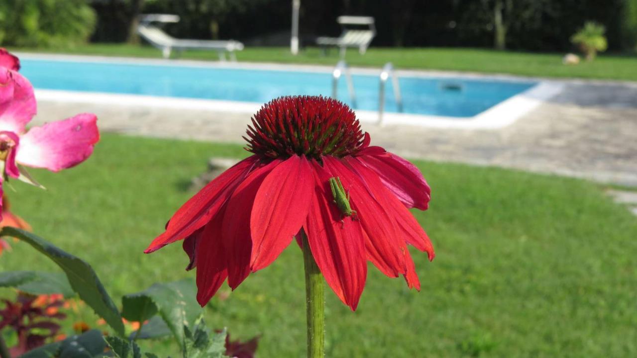 Bed and Breakfast Il Gelso Di Barcuzzi Лонато Экстерьер фото